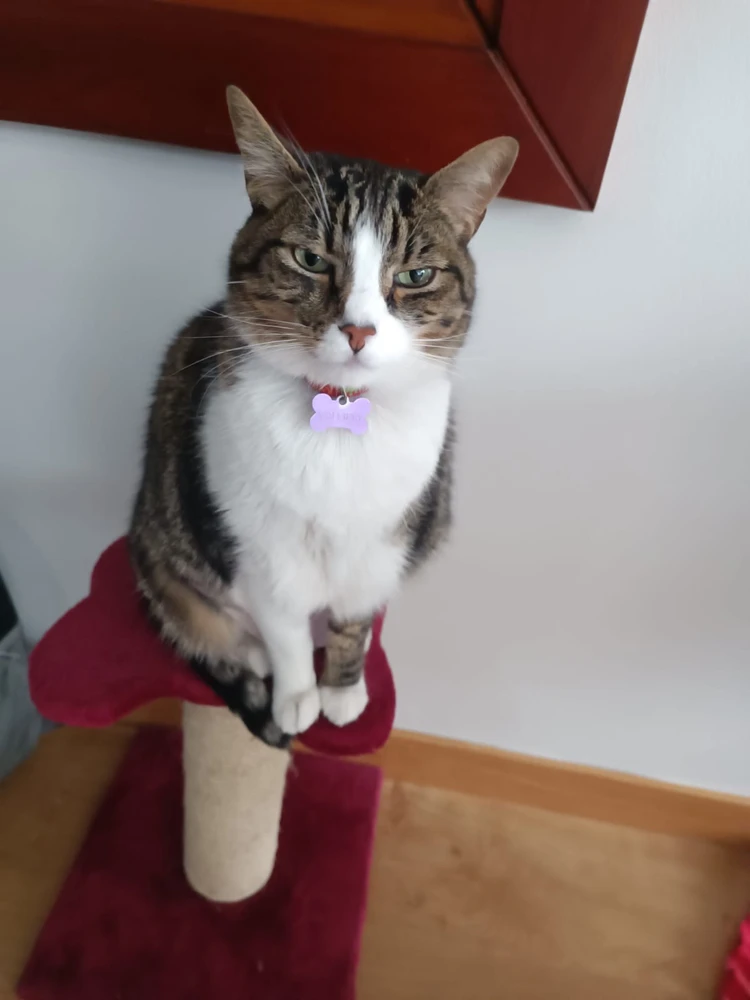 GIF uploaded by Sebastián