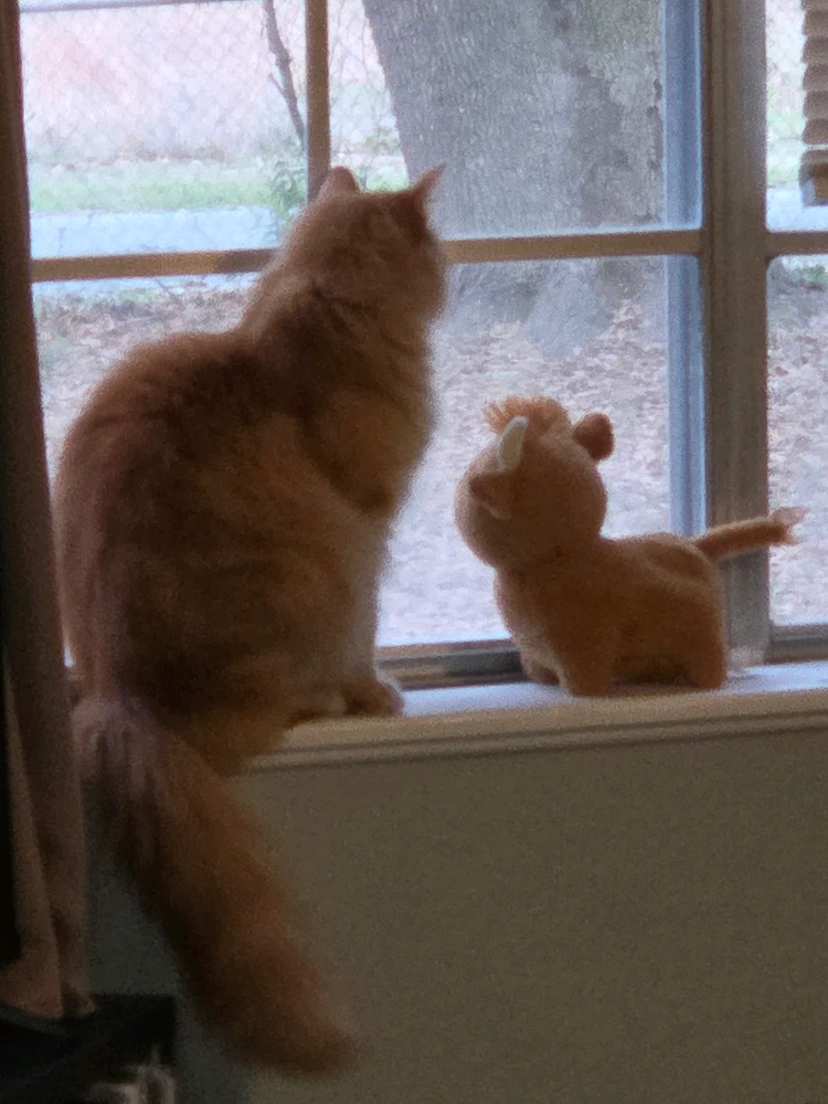 GIF uploaded by Conner