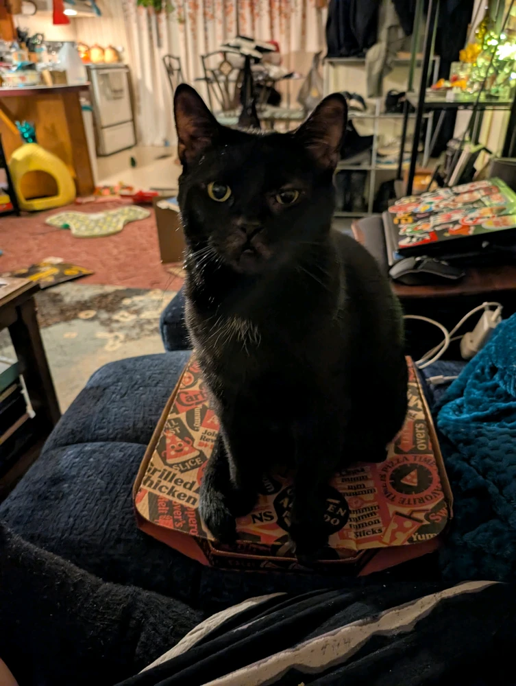 GIF uploaded by Amber