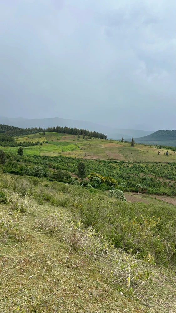 GIF uploaded by Sharon