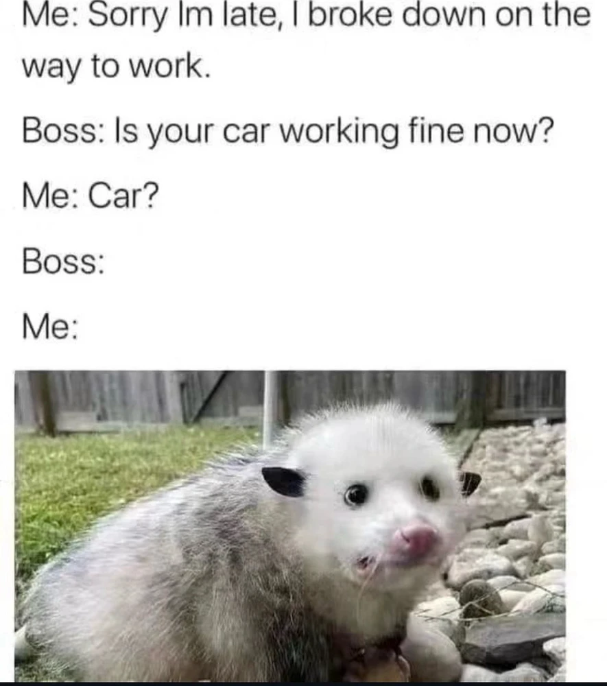 GIF uploaded by Brandon