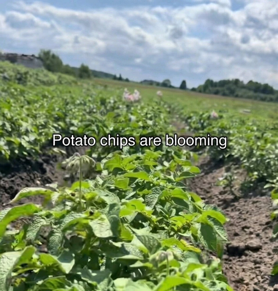 GIF uploaded by Ronen