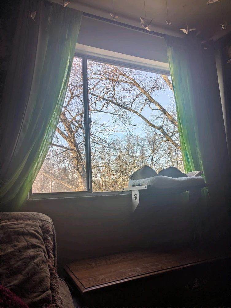 Image uploaded by Callum