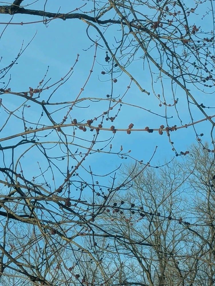 Image uploaded by Callum