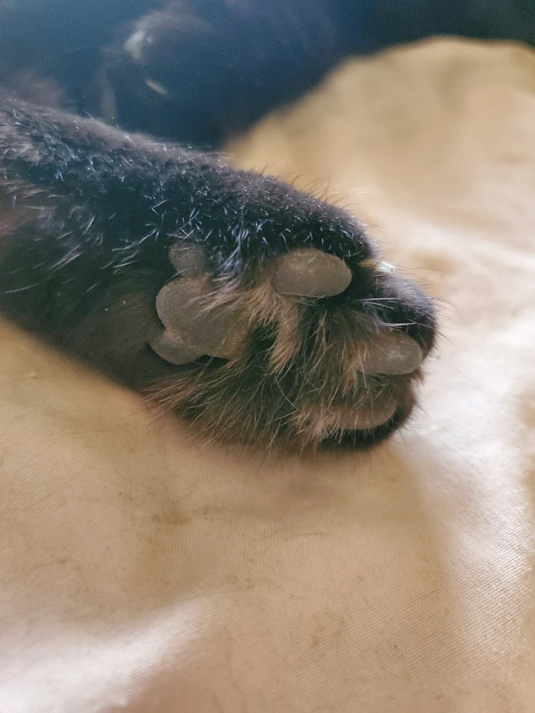 GIF uploaded by Lonny