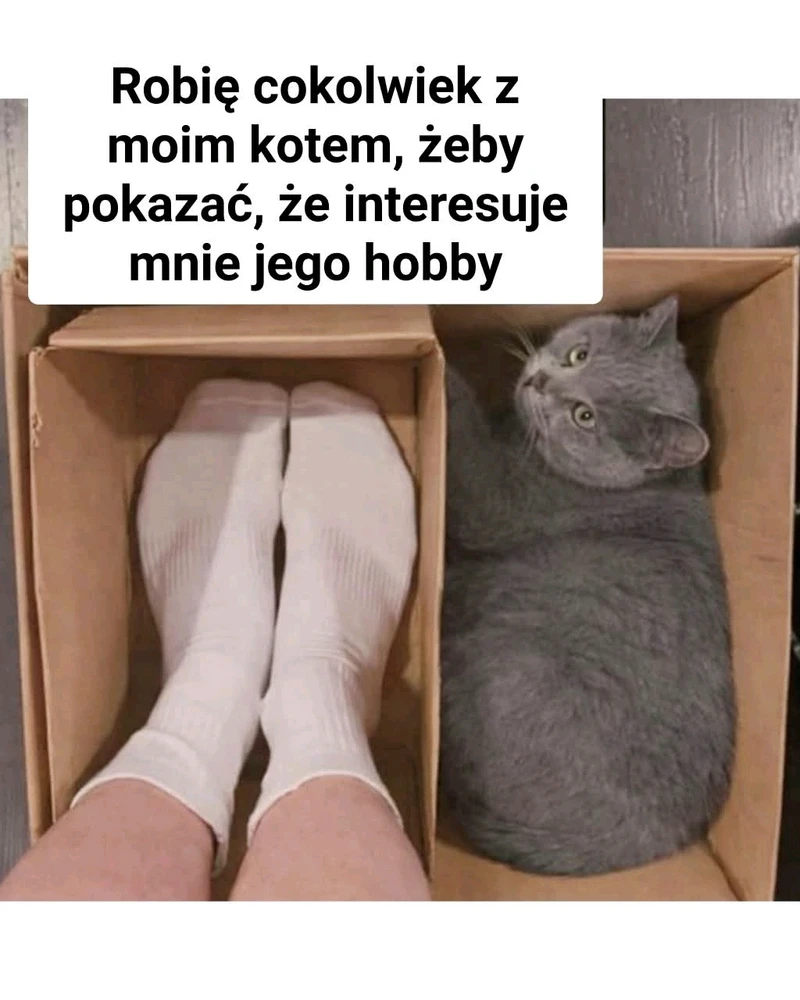 GIF dodany przez Nikola