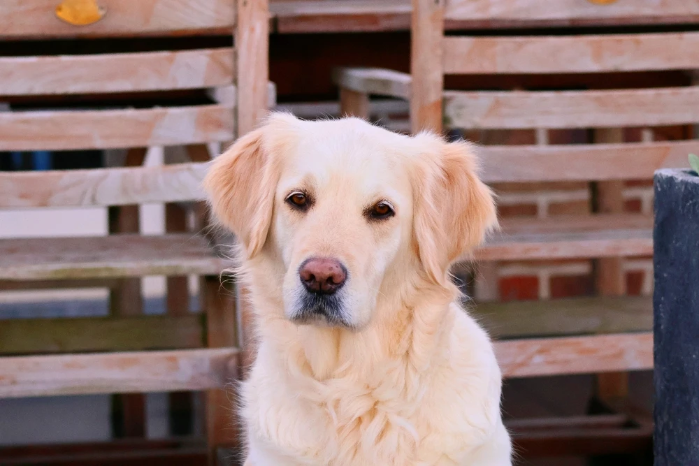 GIF uploaded by Joren