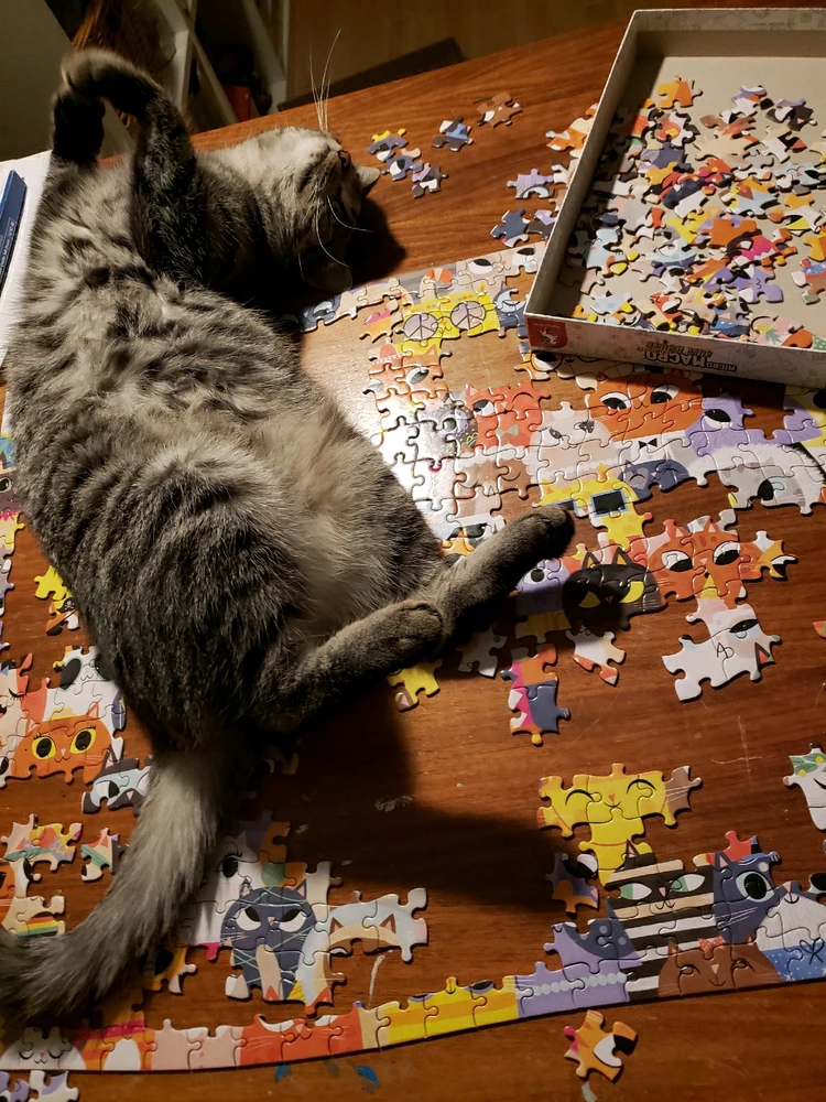 GIF hochgeladen von Paola