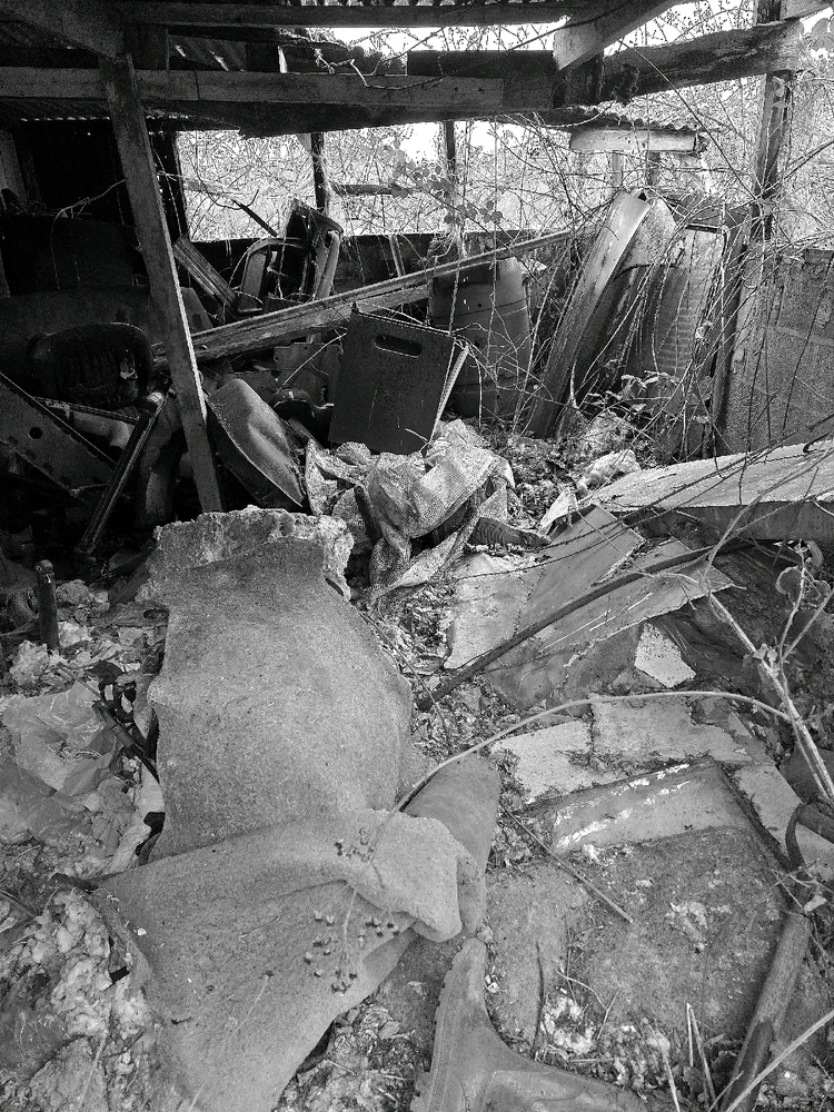 Image uploaded by Sacha