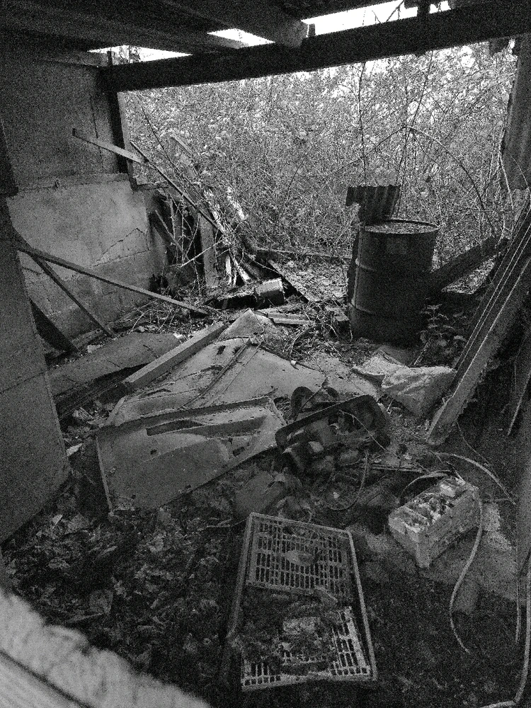 Image uploaded by Sacha