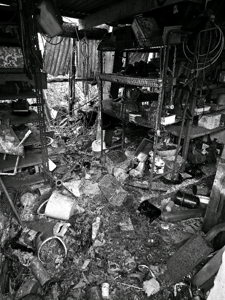 Image uploaded by Sacha