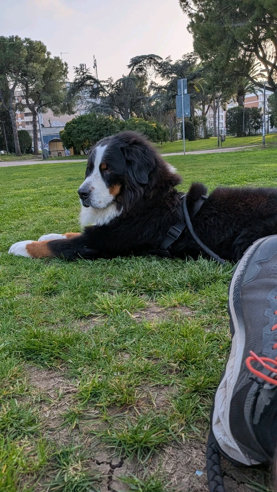 GIF caricata da Stefano