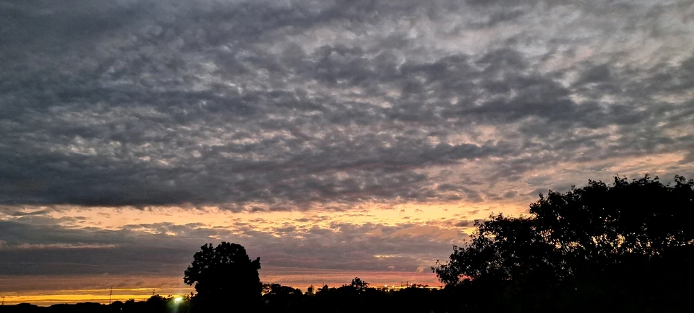 Imagen subida por Mica