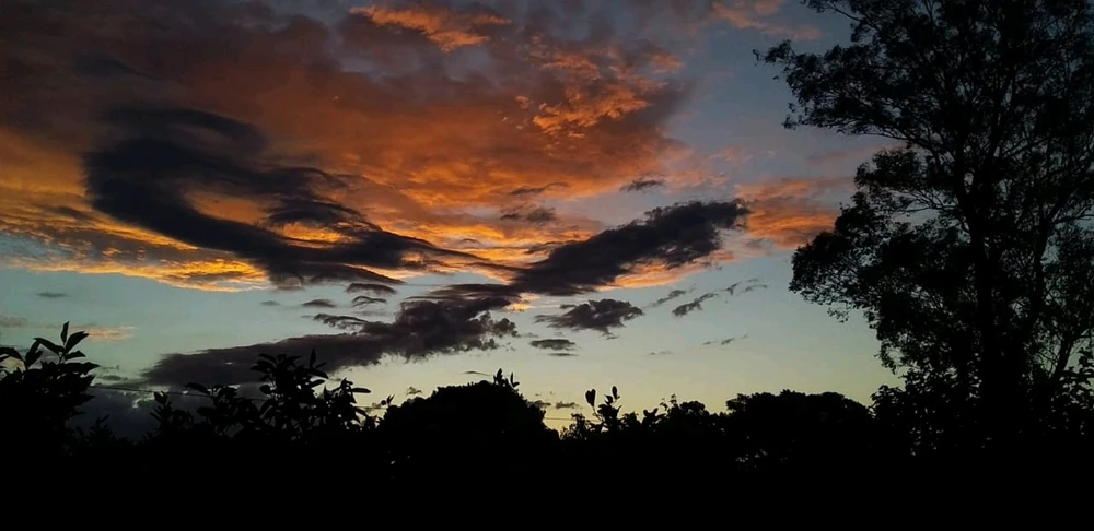 Imagen subida por Mica