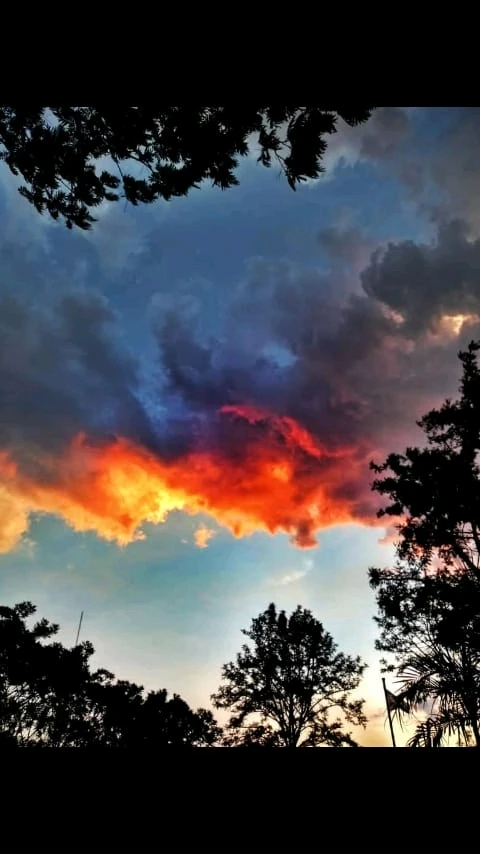 Imagen subida por Mica