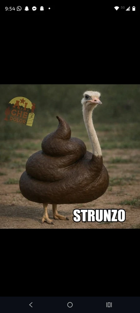 Image uploaded by Gaia