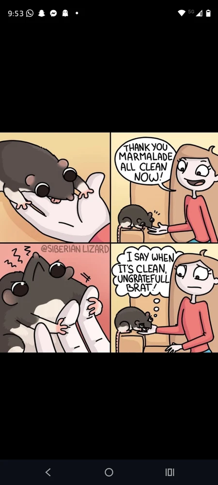 Image uploaded by Gaia