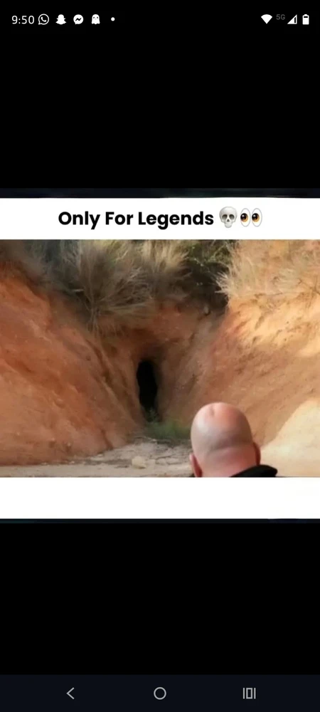 Image uploaded by Gaia