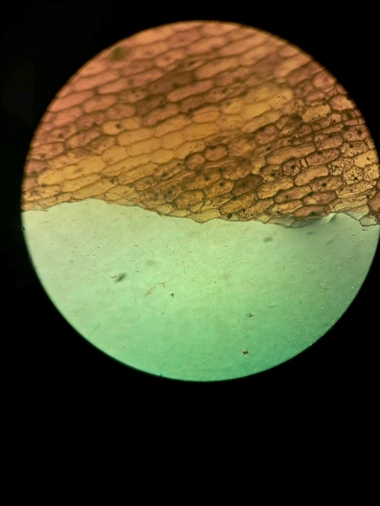 Zdjęcie dodane przez Ania