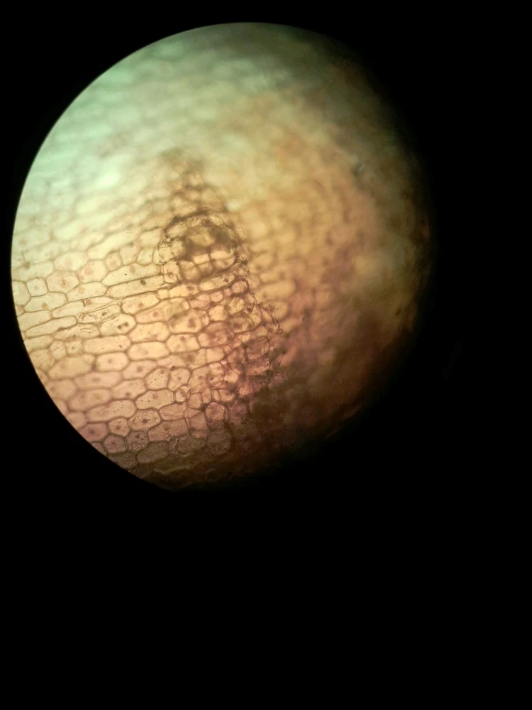 Zdjęcie dodane przez Ania