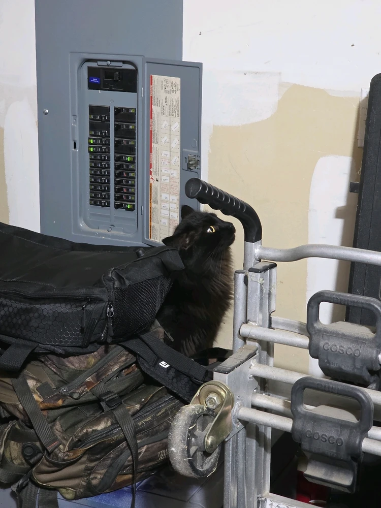 Image uploaded by Mike