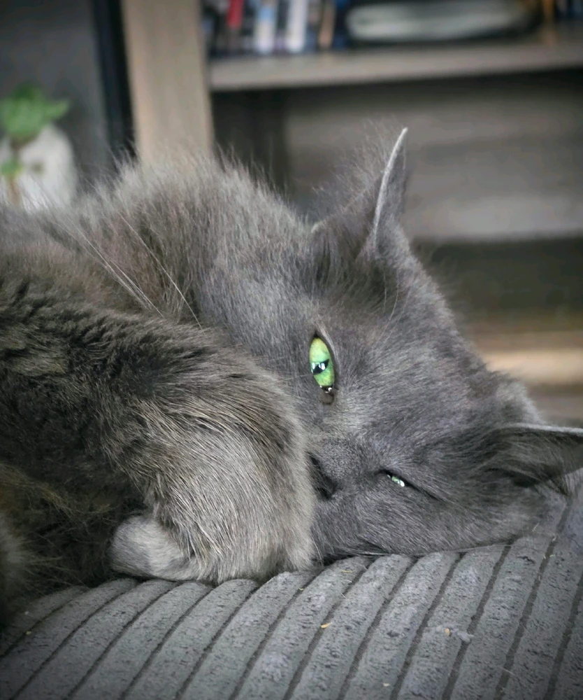 Image uploaded by Mike