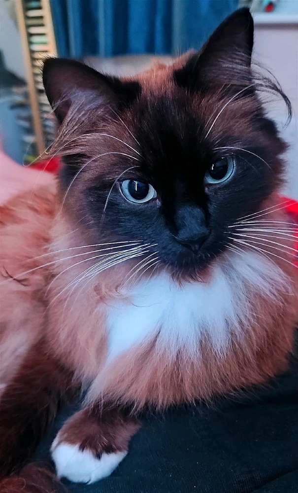 Image uploaded by Andy