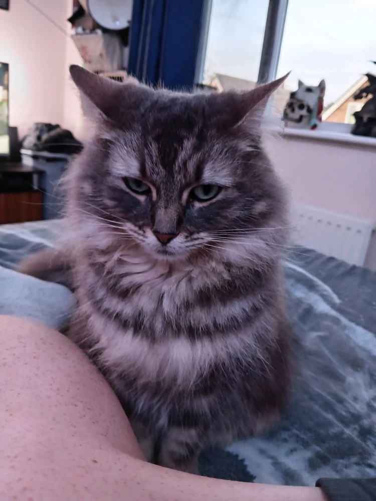 Image uploaded by Andy