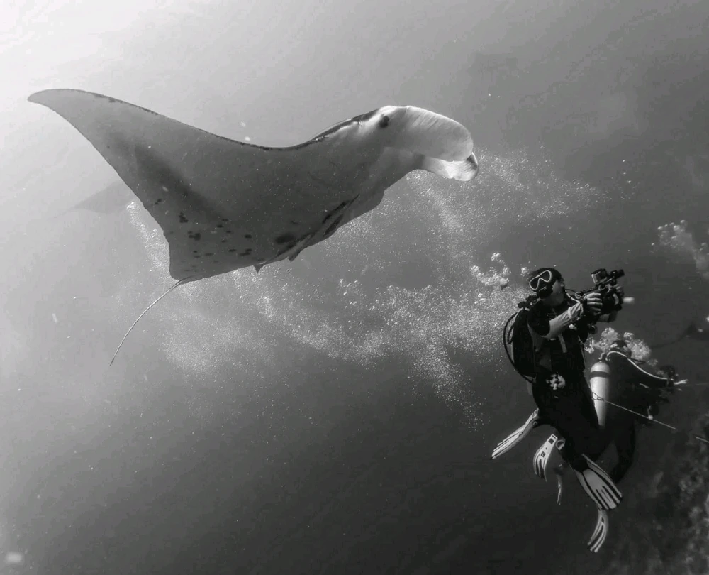 GIF uploaded by DeSoLo