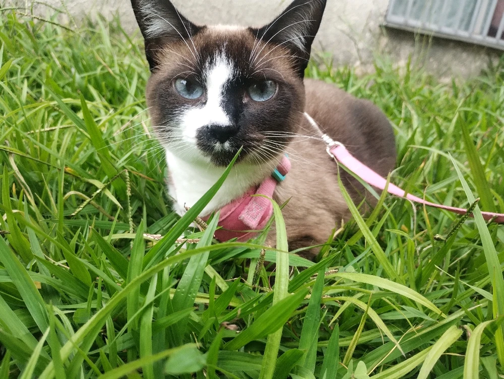 GIF enviado por Valéria