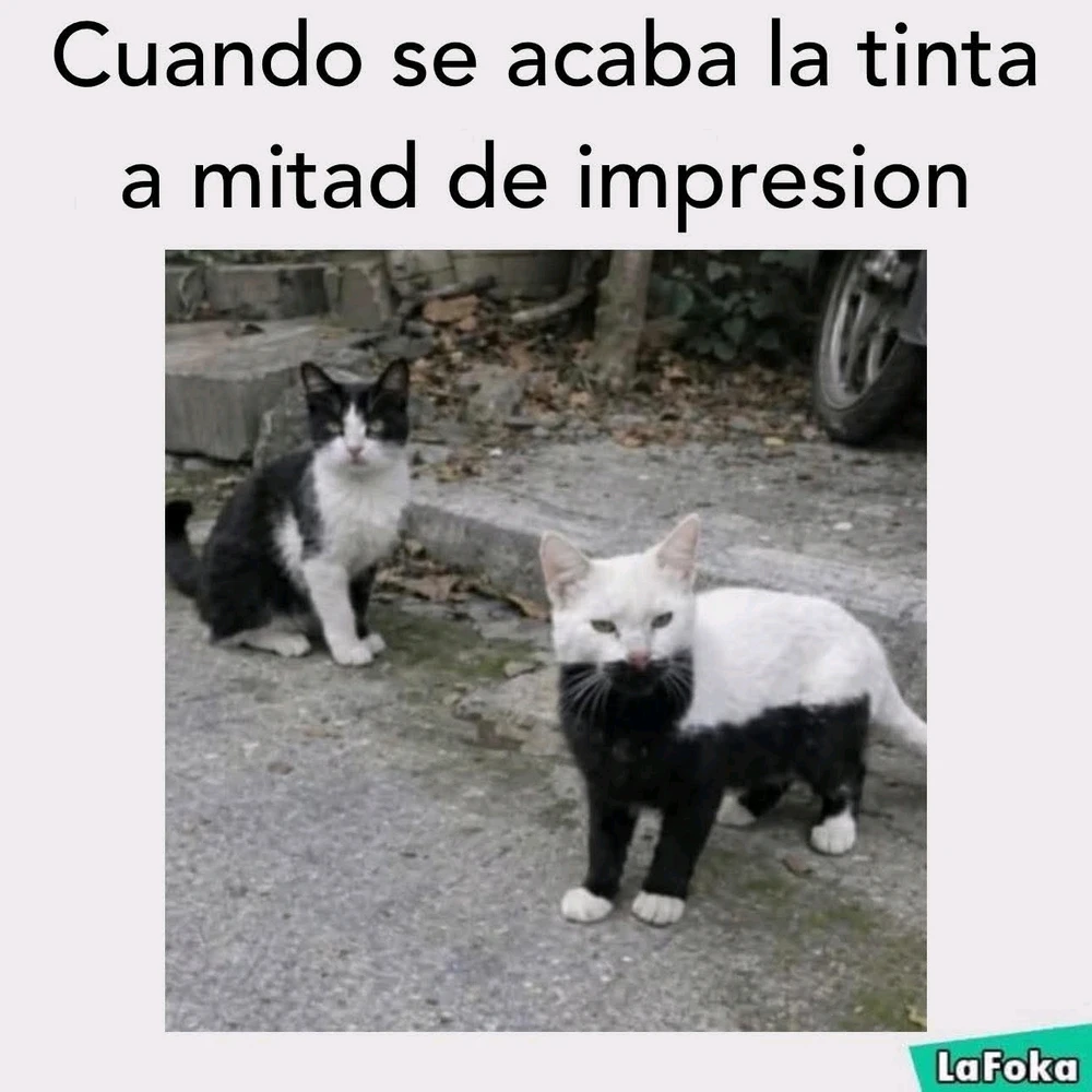 GIF subido por Bruce