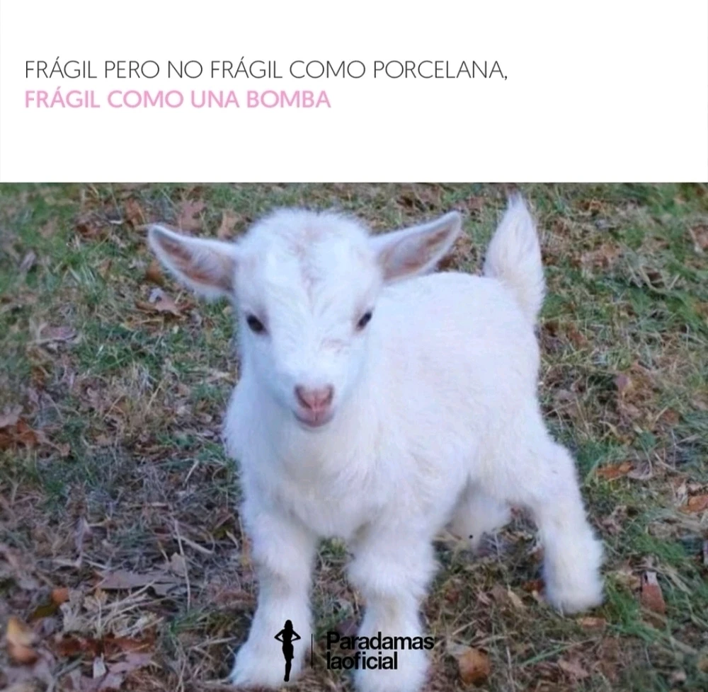 GIF subido por Dayna