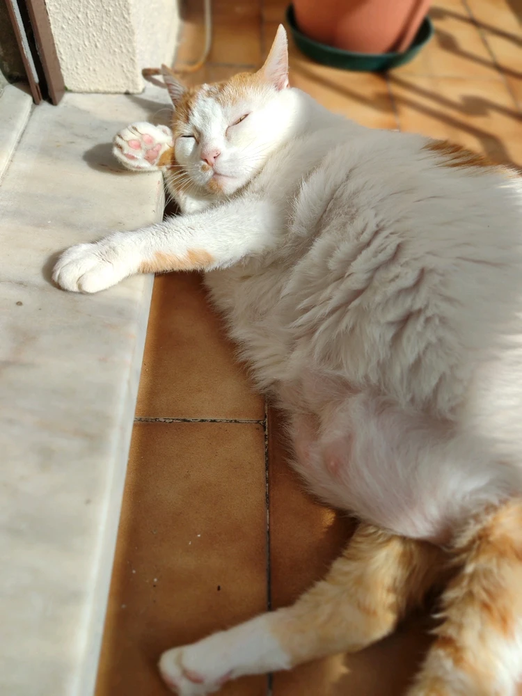 GIF uploaded by Maru