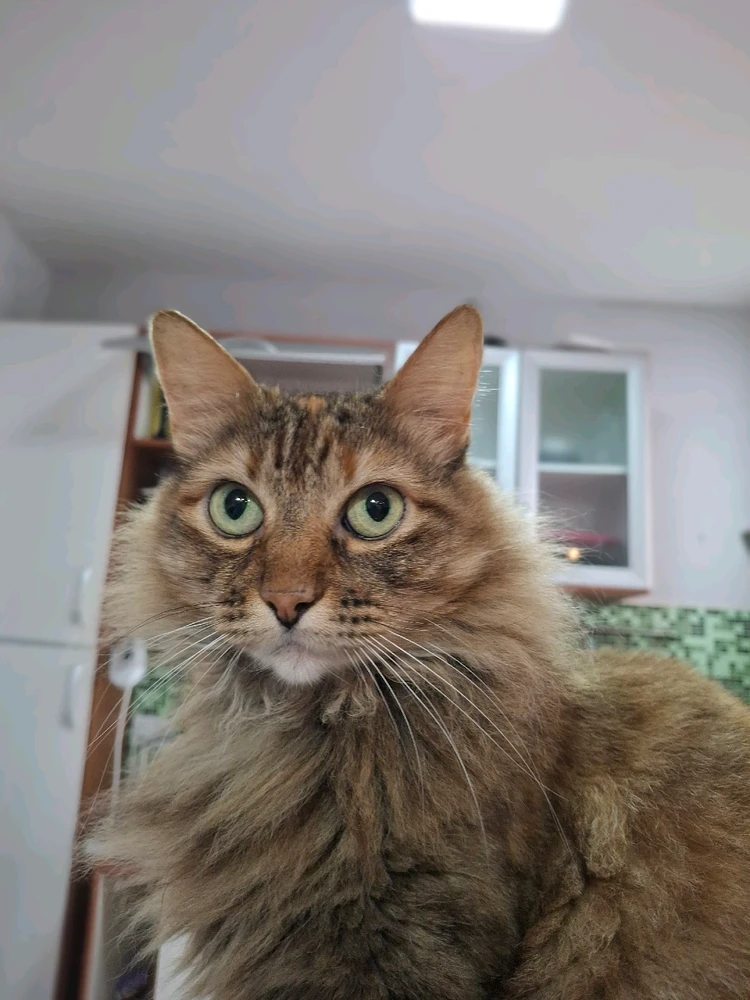 Imagem enviada por Maria Eduarda