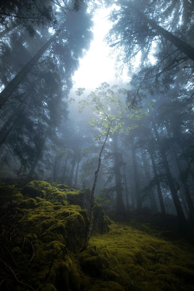 Image ajoutée par Rémi