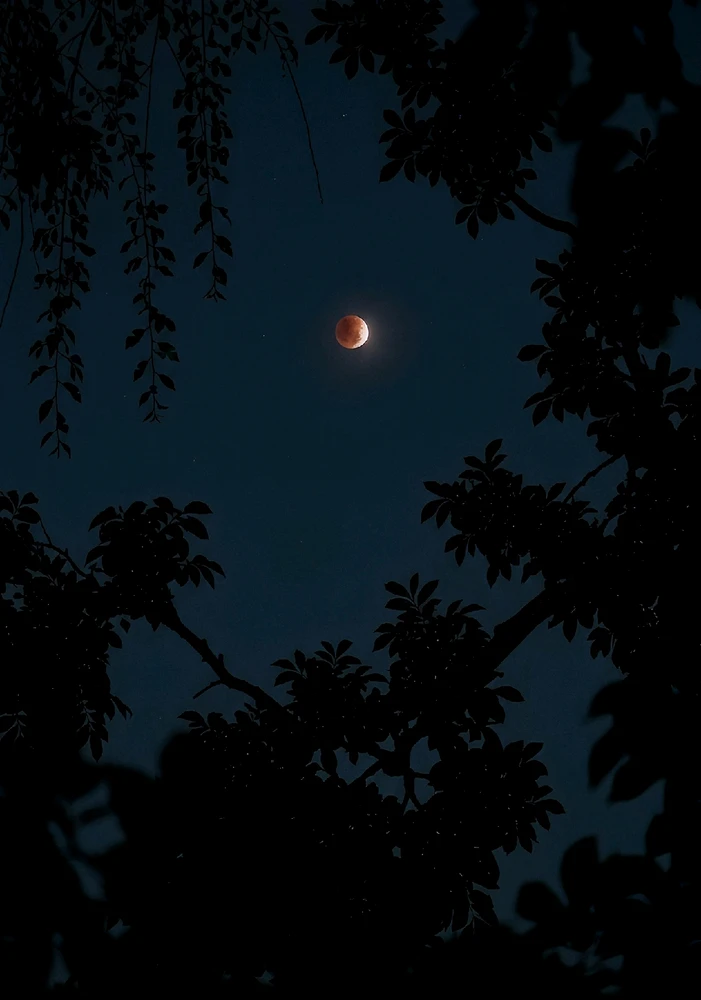 GIF uploaded by Patz