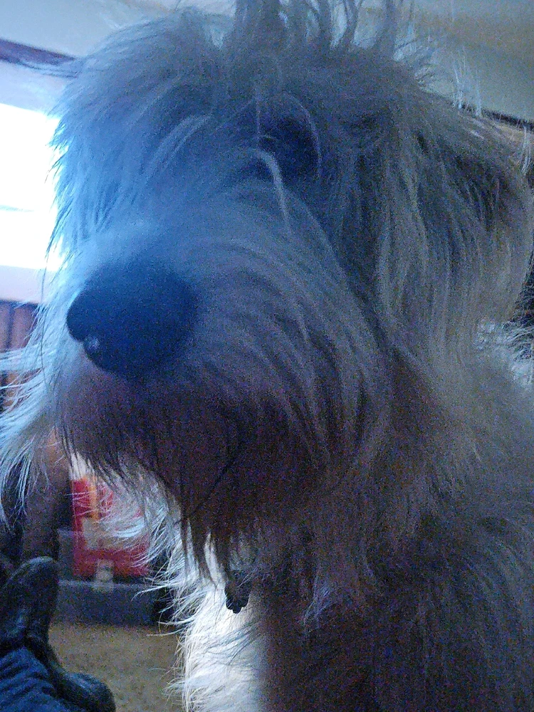 GIF uploaded by Bones