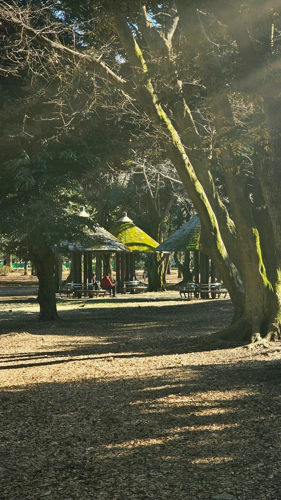 Image uploaded by Kirian