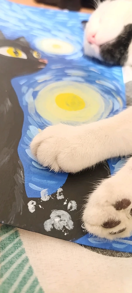 Shawty tarafından yüklenen GIF