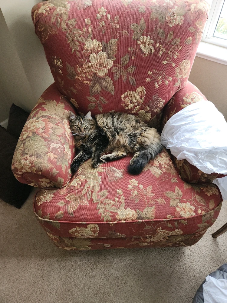 GIF uploaded by Neal