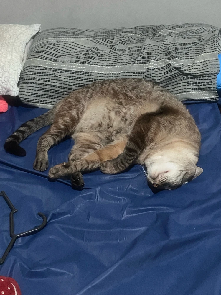 GIF enviado por Ally