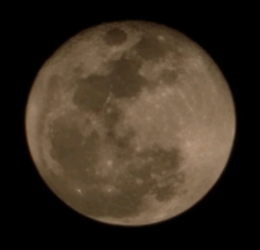 GIF uploaded by Namchi