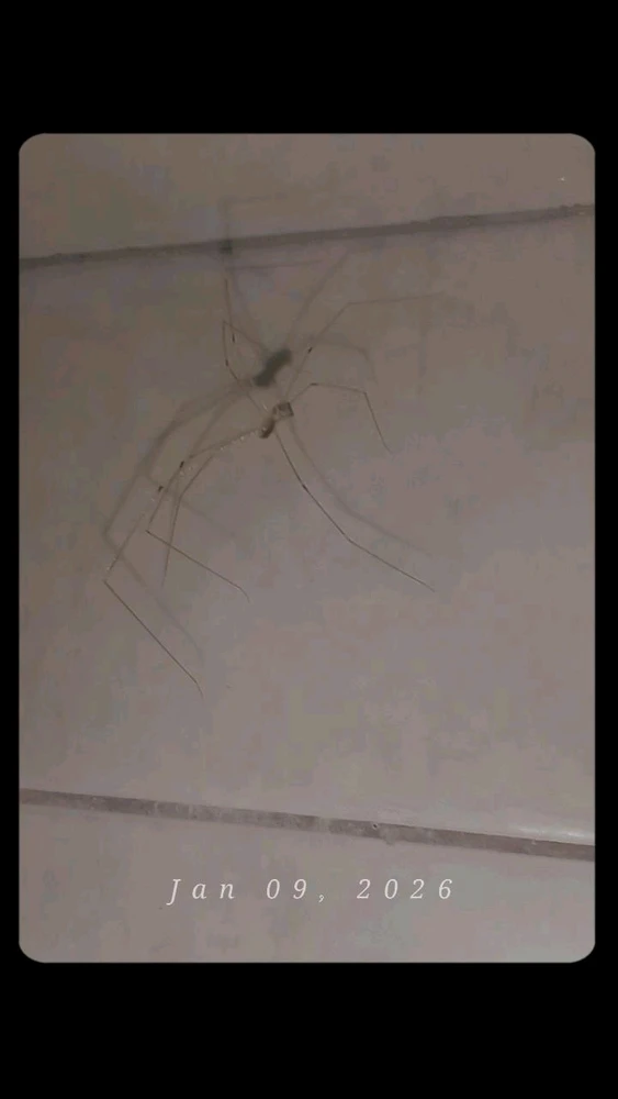 GIF uploaded by Izel