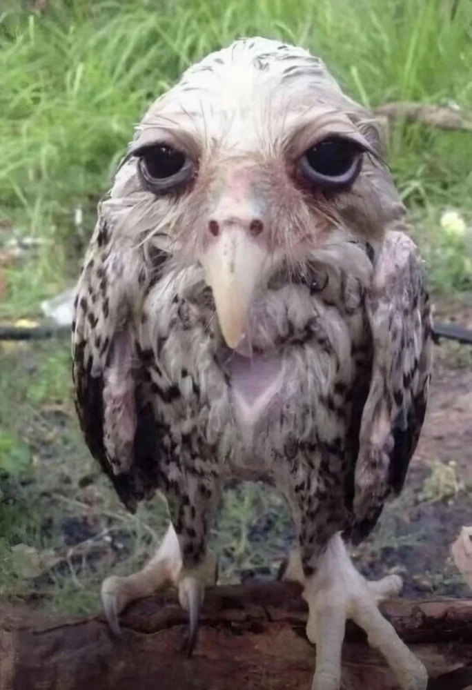 GIF uploaded by Domara