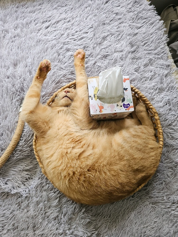 GIF uploaded by Clare-Bear