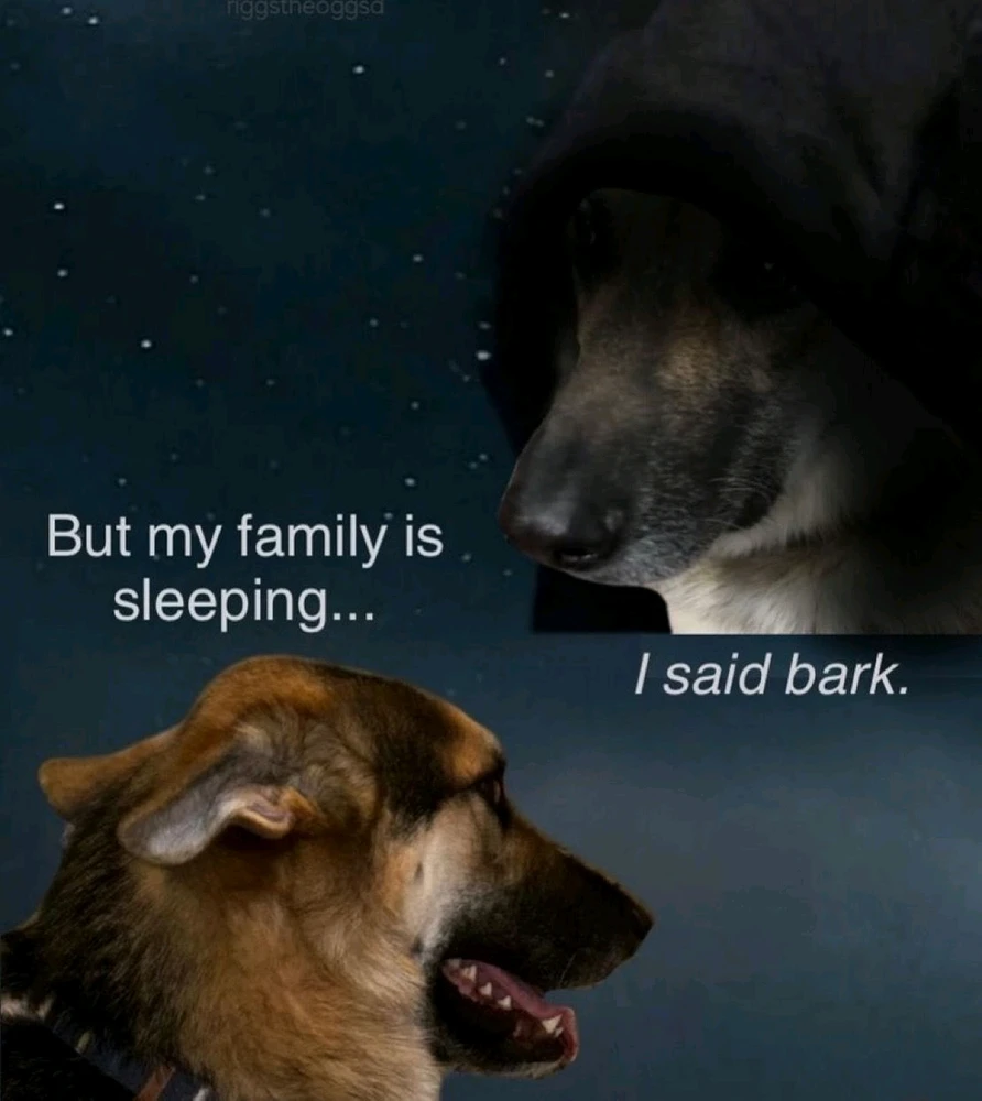 GIF uploaded by Carla