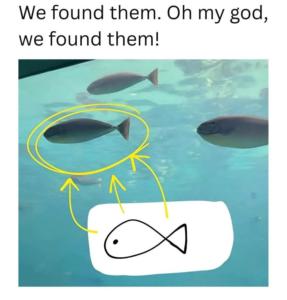 GIF uploaded by 🌙✨ℳℯ𝓁𝒶𝓃𝒾𝓆𝓊ℯ✨🌙