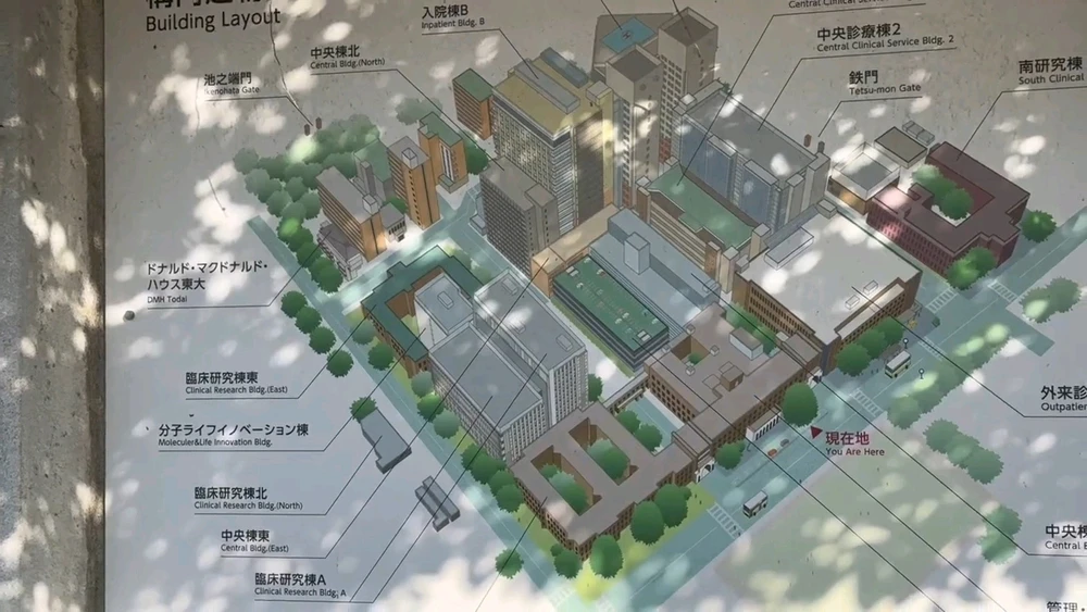 Aainがアップロードした画像