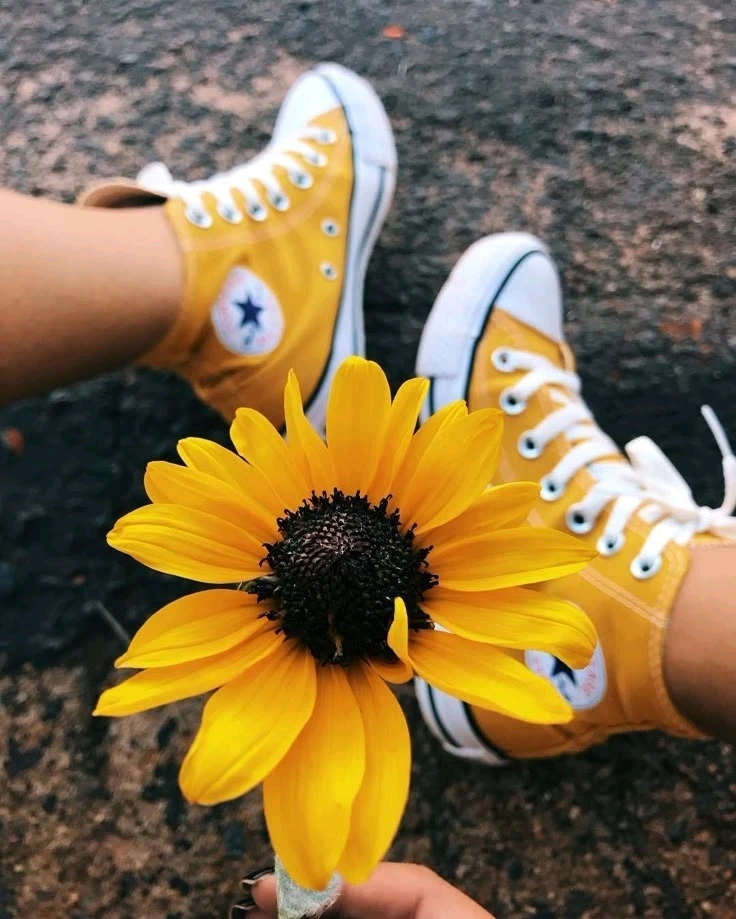 GIF ανέβηκε από Γεωργια