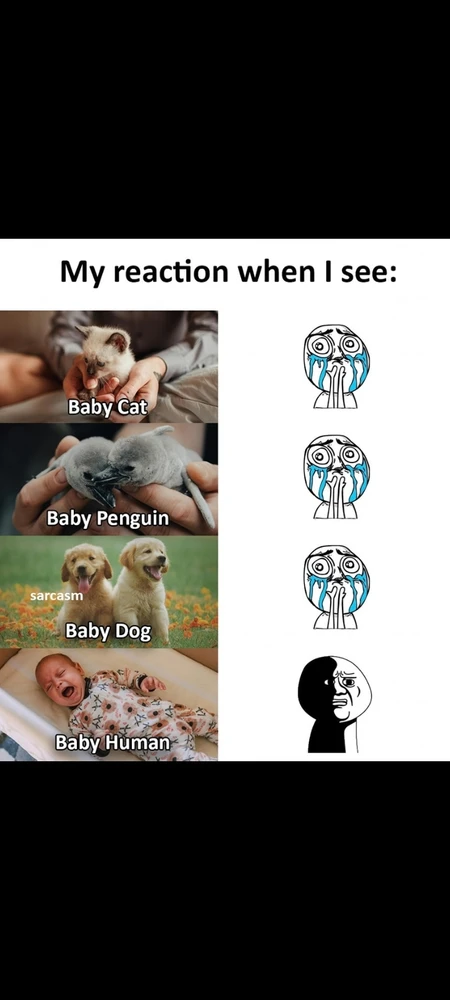 Image uploaded by Gaia